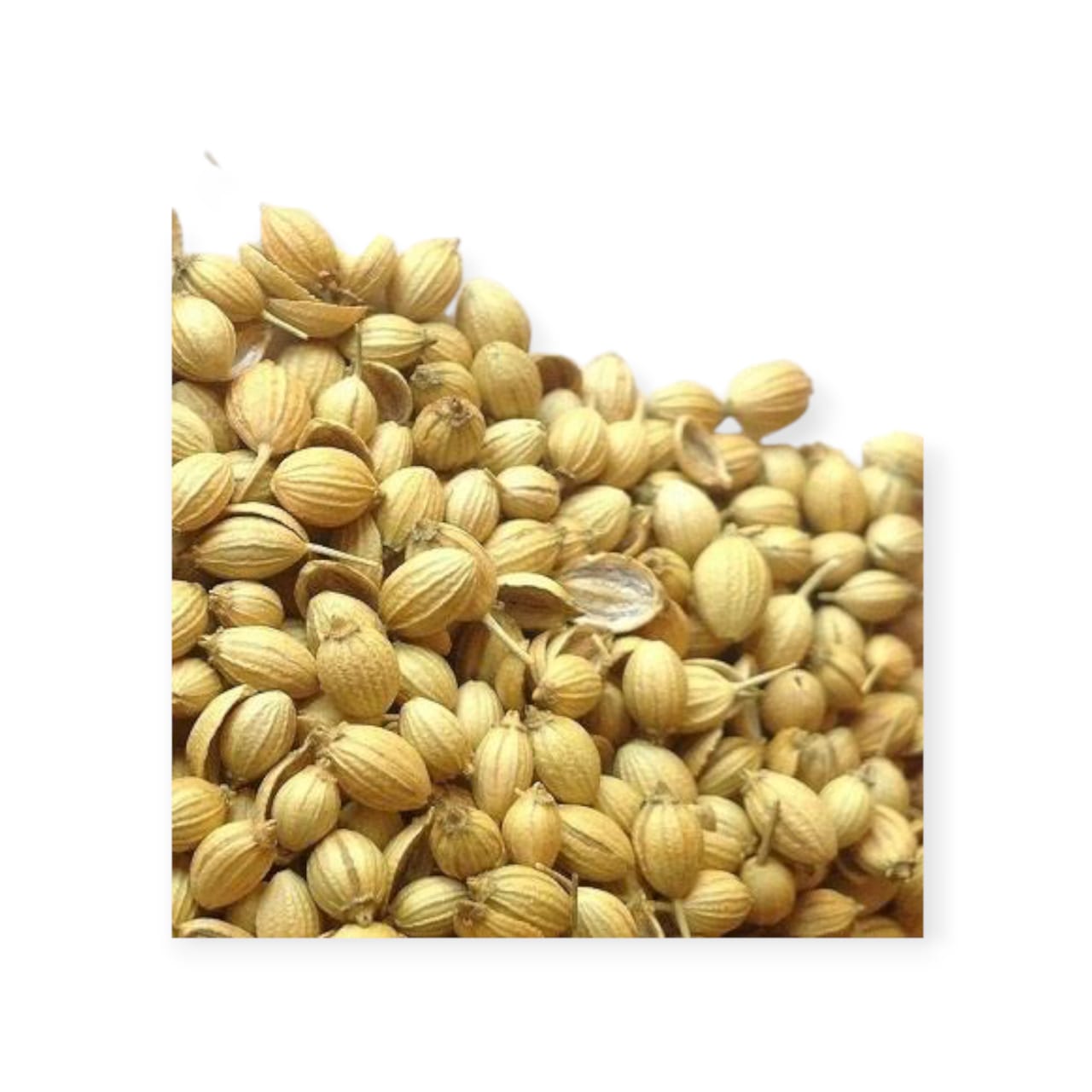 SABUT DHANIYA (125 GM)